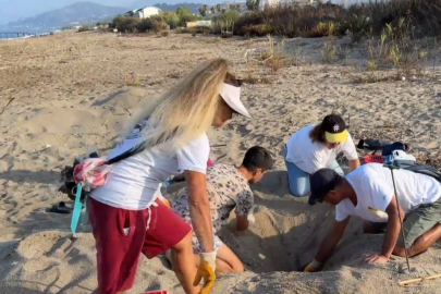 Gönüllüler yardımcı oldu: Yavru kaplumbağalar denizle buluştu