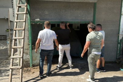 Yarım asırdır garajdaydı! Bakın ne kadara satıldı...