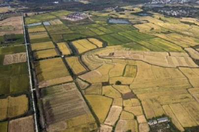 Arsa alacaklar olanlar dikkat! Yargıtay'dan emsal karar