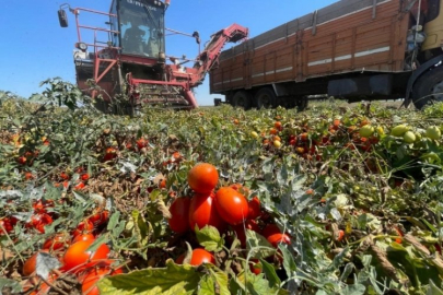 Bursalı çiftçiler yağmurdan kaçarken doluya tutuldu!