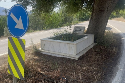 Bursa'da 'Sıtma Dede' yolun ortasında kaldı!