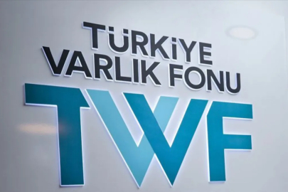 Türkiye Varlık Fonu, dünyanın en büyük 10 varlık fonundan biri