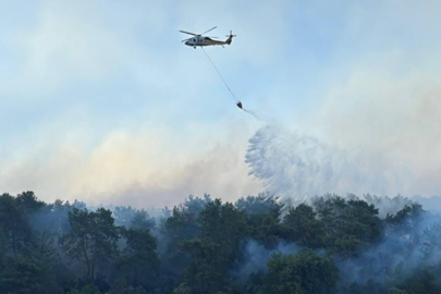 Balıkesir Sındırgı'da yangın! Bağ evleri...