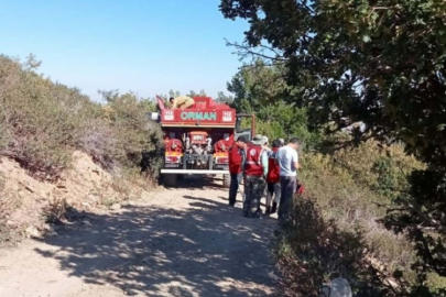 Konya'da orman yangını kısa sürede söndürüldü
