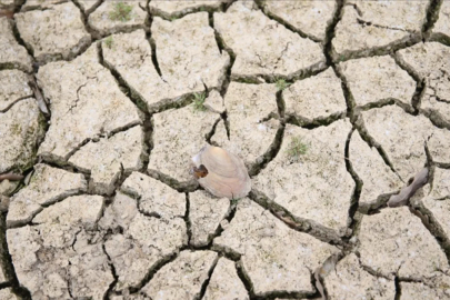 İç Anadolu ve Güneydoğu'da 65, Ege ve Marmara'da son 18 yılın en düşük 'su yılı yağışları'