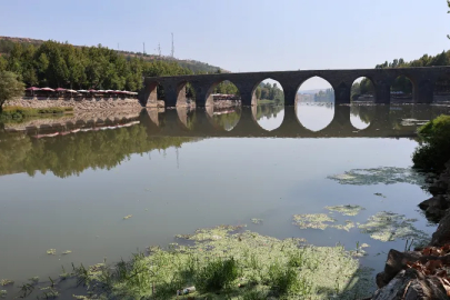 Dicle Nehri'nde balık ölümleri