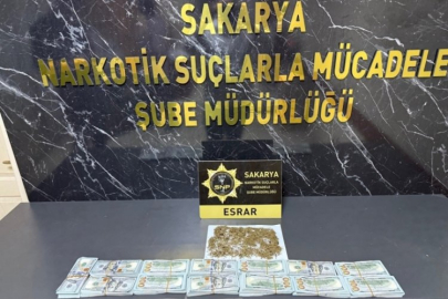İstanbul'dan çalınan dolarlar Sakarya'da bulundu