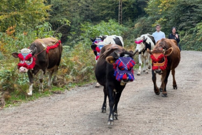 Asırlık yayla geleneği sürüyor