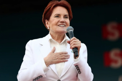 Siyasetten çekilen Meral Akşener sessizliğini bozdu