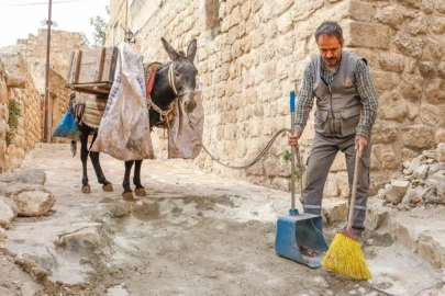 Mardin'in emektar kadrolu eşekleri emekli oluyor: Yerlerini elektrikli araçlar alacak