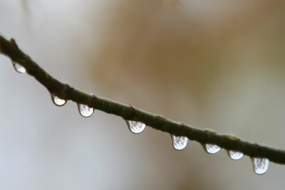 Bursa’ya bereket yağdı!