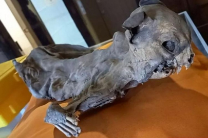 Tarihçiler bile şaşırdı: Kilisenin duvarları arasından çıktı!