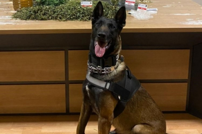 Narkotik köpeği 276,65 gram uyuşturucu madde yakalattı