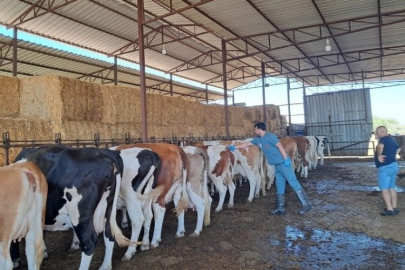 O ilde 13 mahalle karantinaya alındı