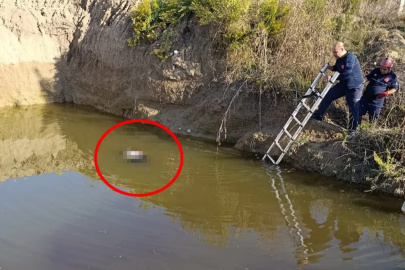 Antalya'da su dolu çukurda kadın cesedi bulundu