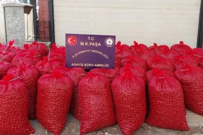 Balıkesir’de 1 ton ceviz çalan hırsızlar Bursa’da yakalandı