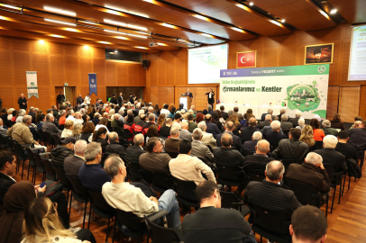 İklim krizi kentlerin geleceğini tehdit ediyor