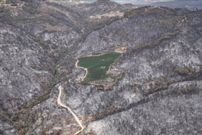 Bursa'da doğal kaynaklar ve ormanlar tehdit altında!