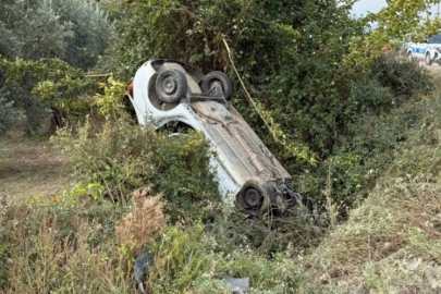 Bursa'da hatalı sollama kazası! Zeytinliğe uçtu