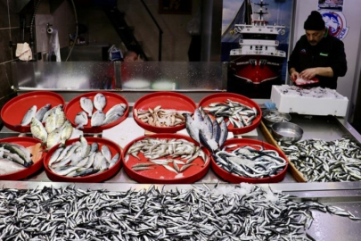 Trabzon'da hamsi bereketi: Tezgahlarda kilosu 75 lira