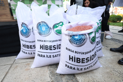 Büyükşehir'den çiftçiye yerli tohum desteği