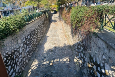 Bursa'nın göbeğinde fare alarmı!