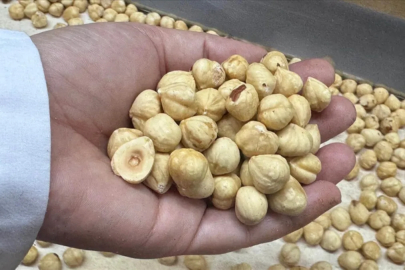 Fındık ihracatı geliri açıklandı