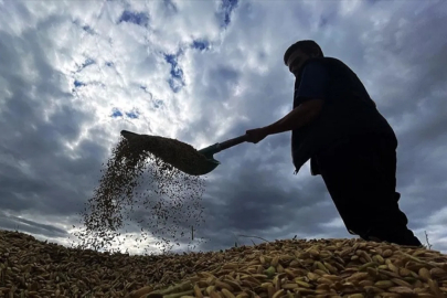 Zirai don desteğinde üreticilere 1,7 milyar lira daha ödenecek