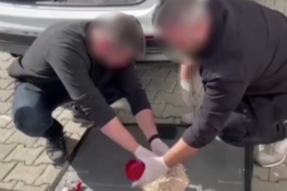 Bursa Gemlik'te uyuşturucu operasyonu