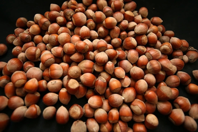 Fındık üreticisine güzel haber geldi