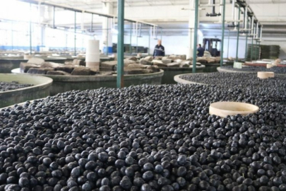 Marmarabirlik'ten yeni karar! Kaldırıldı...