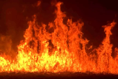 Yüksekova'daki Nehil Sazlığı'nda Yangın: Yerleşim Alanları Tehdit Altında