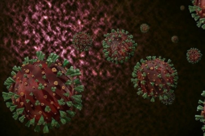 Liberya'da M çiçeği virüsü yayılmaya devam ediyor