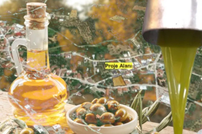 Bakanlıktan onay çıktı: Bursa'da belediye zeytinyağı fabrikasını açacak!