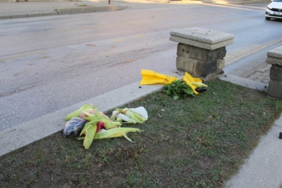 Otomobilin çarptığı yaşlı adam yaralandı