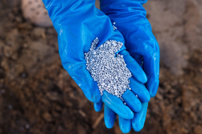 Türk Toraks Derneği'nden Alüminyum fosfit uyarısı: Soluduğunuz an geç olabilir