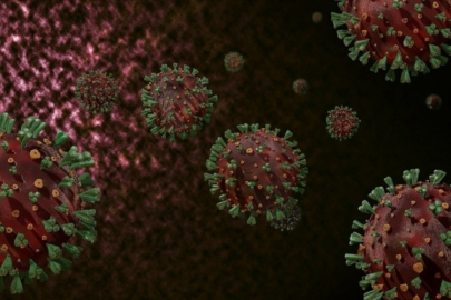 Yeni salgın alarmı! Bulaştığı ilk insanı öldürdü