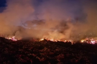 Bilecik'te arazide çıkan yangın söndürüldü