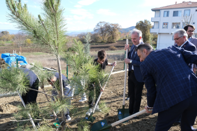 İnegöllü Gençlerden Örnek Davranış: 32 Fidan Toprakla Buluştu