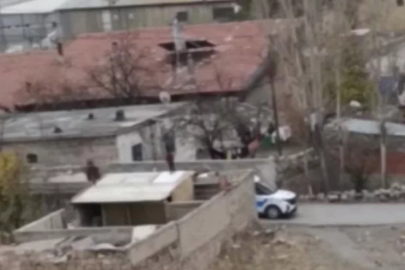 Mahalle sakinlerinin kabusu! Gördükleri herkesi taşlıyorlar...