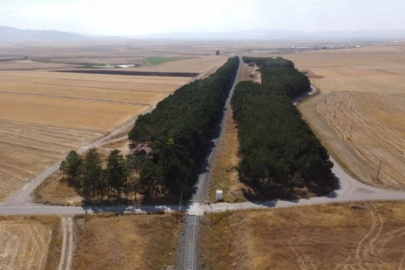 Bozkırın ortasındaki vaha havadan görüntülendi