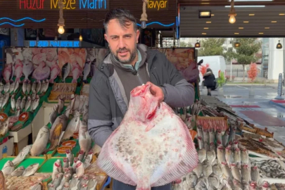 İstanbul'da kalkanın kilosu 1.200 liradan satılıyor