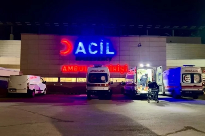 Pitbull dehşet saçtı! 1 buçuk ve 5 yaşındaki kardeşler feci şekilde yaralandı...