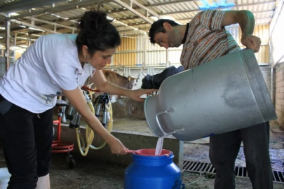 Hayvancıların 'Şap' talebi! Güncelleme isteniyor...