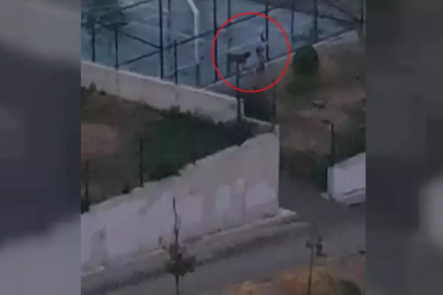 Köpeği Sitesinde Tasmasız Gezdiren Tuğçe Özbek Erol'un Görüntüleri Ortaya Çıktı