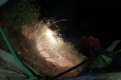 Bursa'da ormanlık alanda mahsur kaldı! Ortak çalışmayla kurtarıldı...