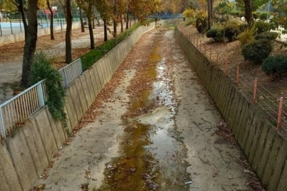 Kuraklık, su kaynakları tükenen Bursa'nın o ilçesindeki dereleri vurdu!