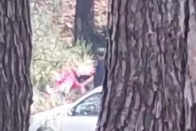 Ormanlık alanda bir kadın darp edildi!