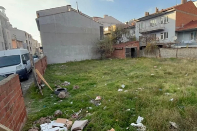 Boş arsada çok sayıda kedi ölü bulundu!