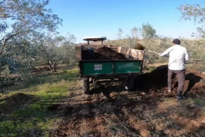 Bursa'da maliyetlerden kaçan üreticiler kara gübreye yönelmeye başladı!